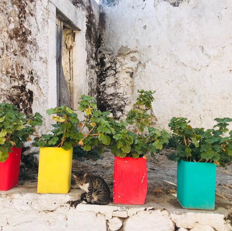 village flower pots-traditional crete experiences- elissos