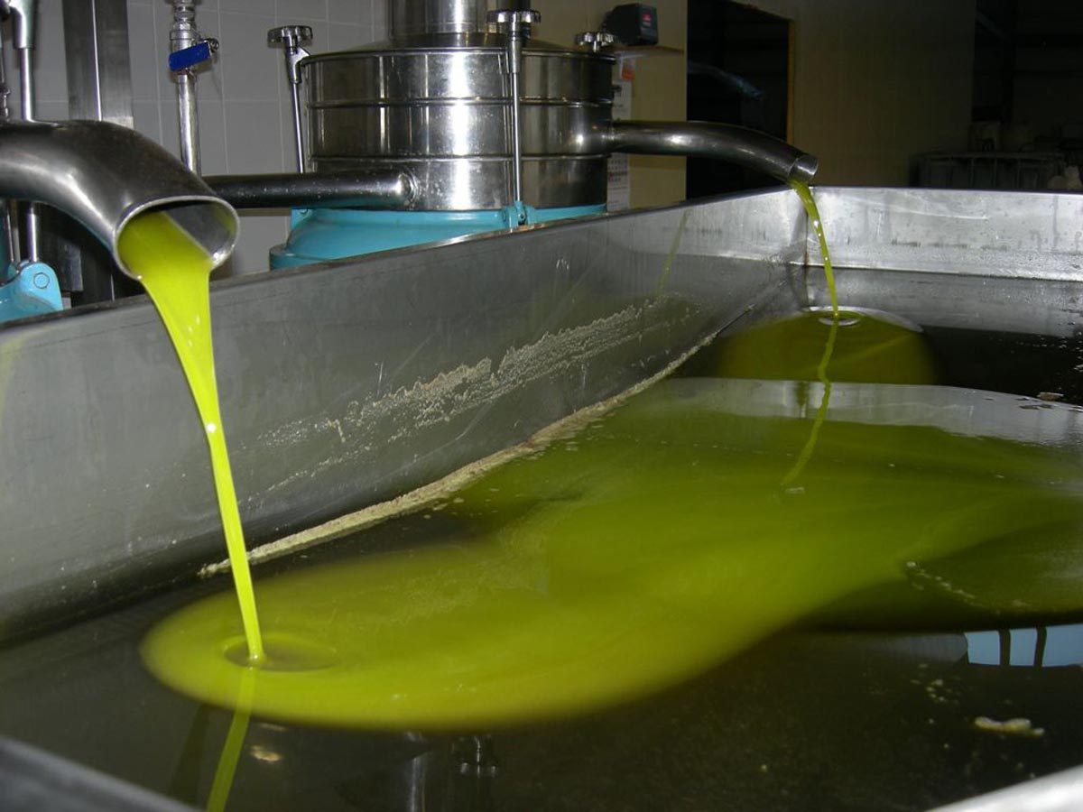 Производство оливкового масла. Оливковое масло в розлив. Завод оливкового масла. Приспособление для производства оливкового масла.