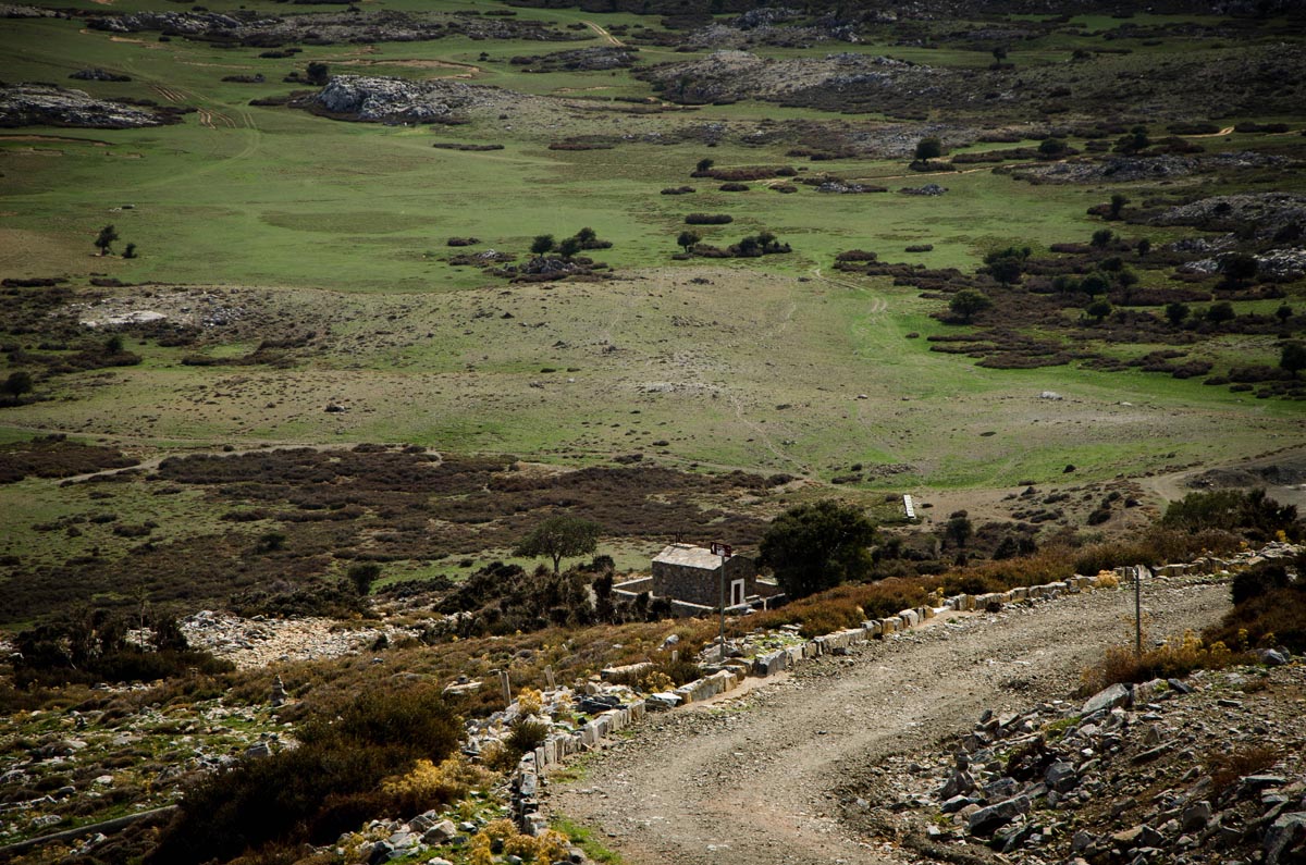 Ida Nature Tour- Elissos