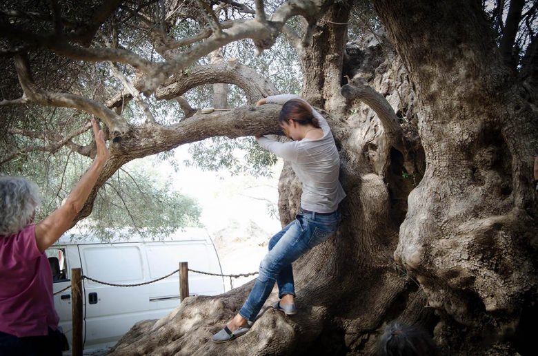 Nature Dance Session-Minoan Crete- Elissos