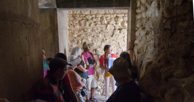 Knossos palace-Labyrinth tour- private tour- elissos