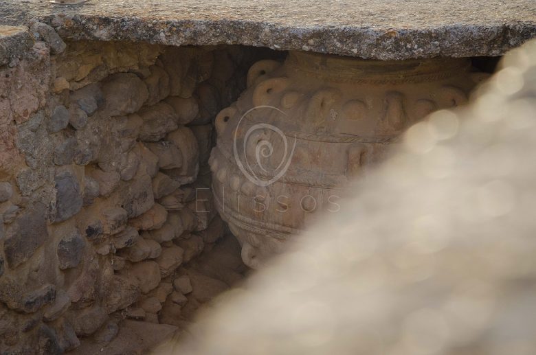 Phaistos Palace Private Tour Elissos