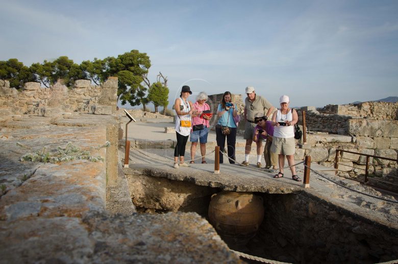 Phaistos Palace Private Tour Elissos