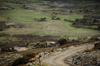 Nature Tour- Nida Plateau