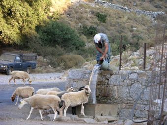 Traditional Crete