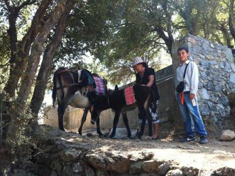 Traditional Crete – Lassithi