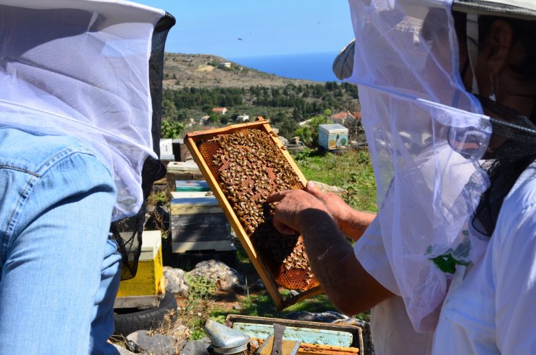 apiary chania-beegarden visit-honey workshop visit-private-tours-crete-elissos-www.elissos.com
