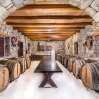 the wine experience-private tours crete-elissos-www.elissos.com