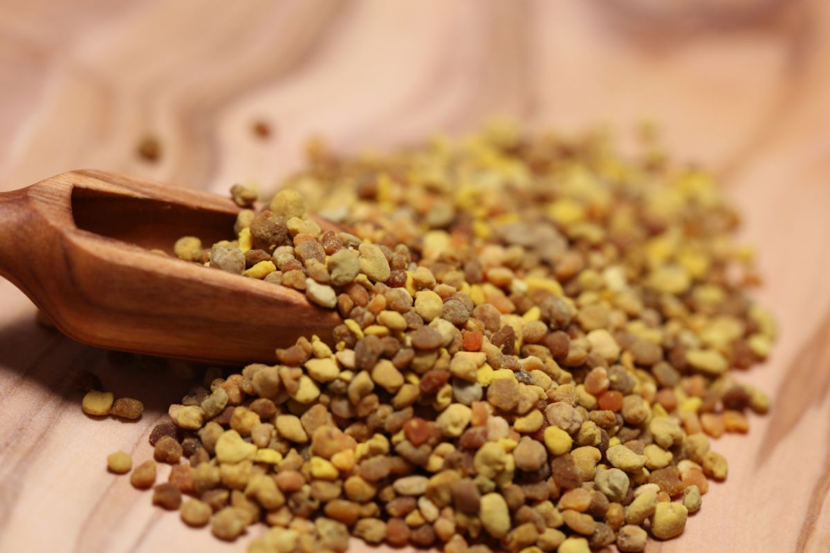 Wooden scoop with dried pollen granules