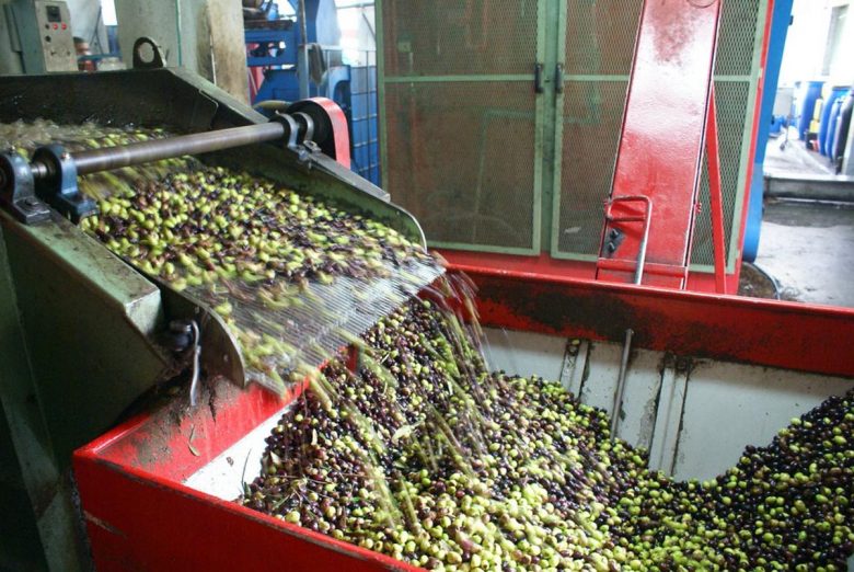 olive oil factory in crete_olive oil tasting in crete_elissos