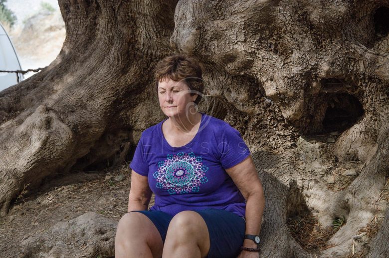 kavousi olive tree_meditation in crete_elissos