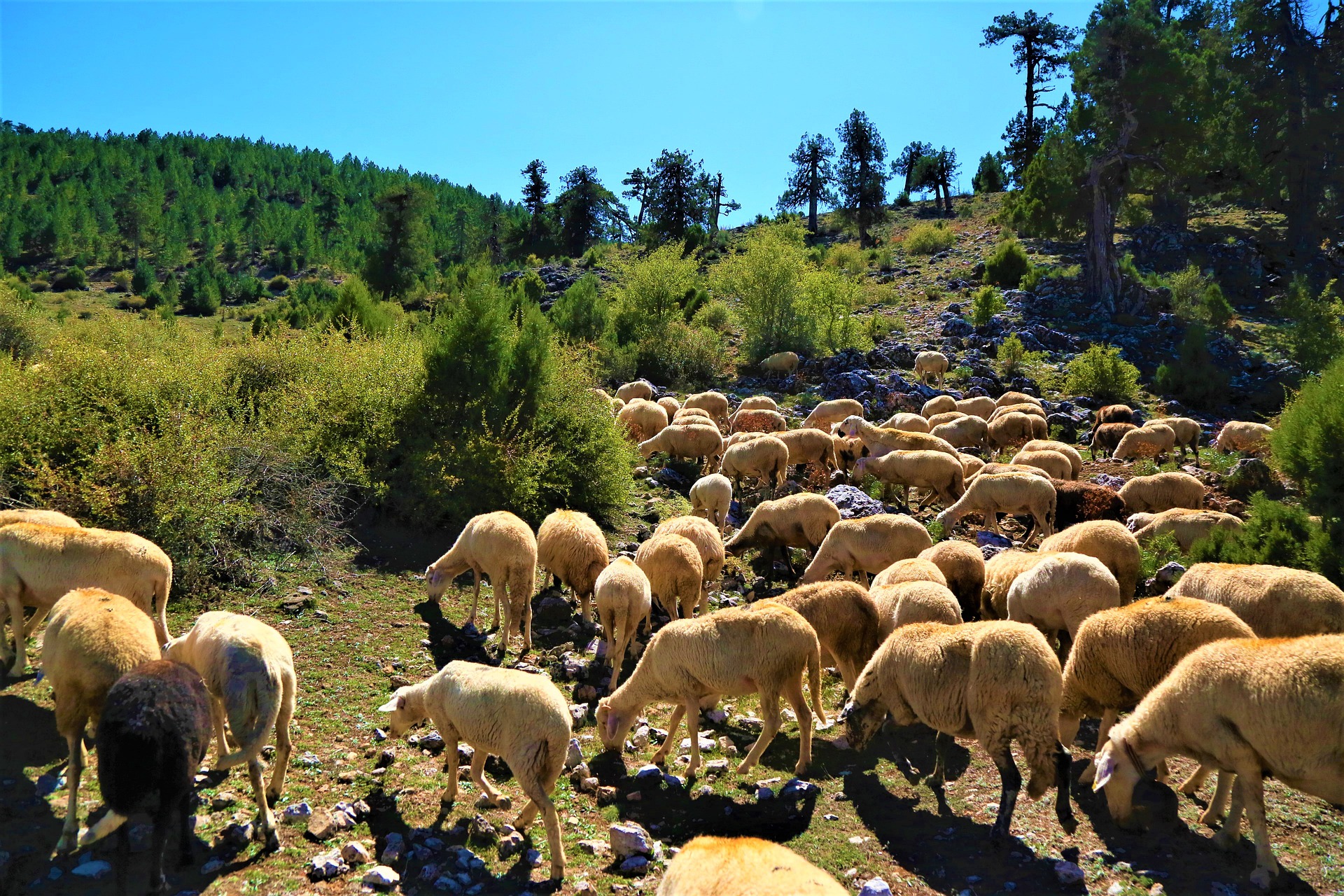 farming в крипте