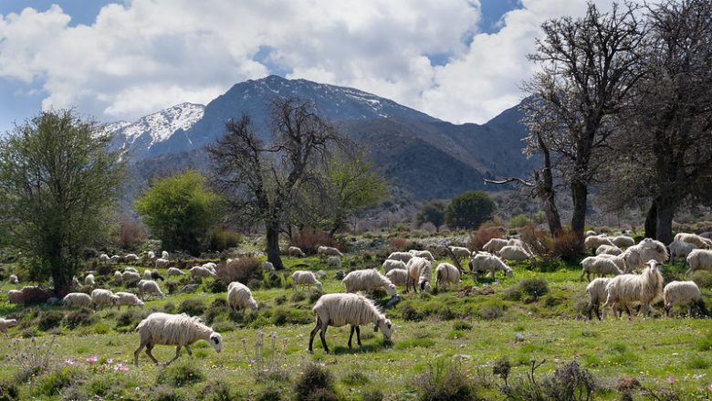 omalos plateau-samaria gorge-crete private tours-elissos