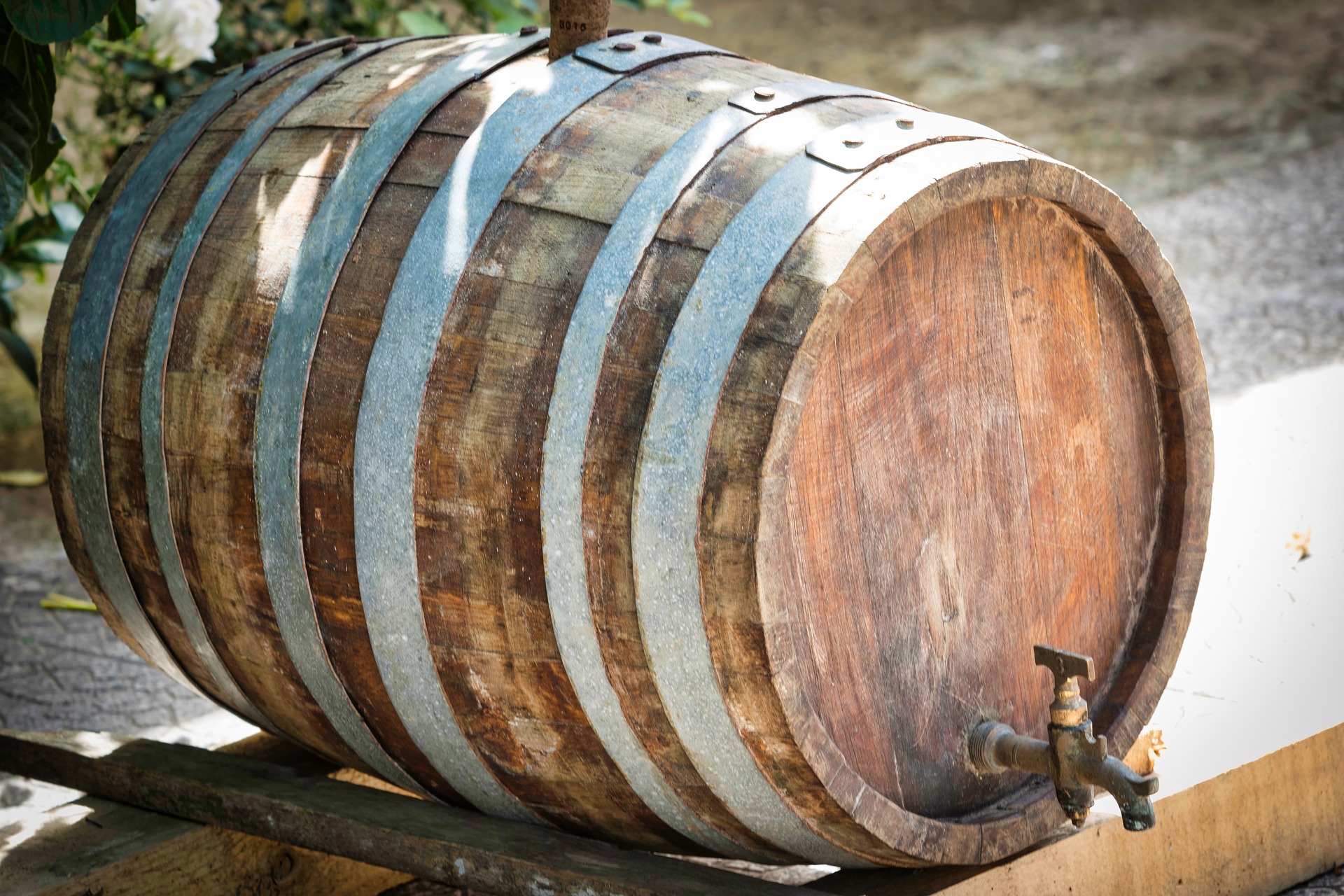 Бочка урожайности. Дуб баррель Barrel Oak. Деревянная бочка. Винные бочки. Бочка деревянная Старая.