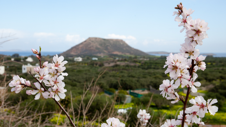 spring in crete