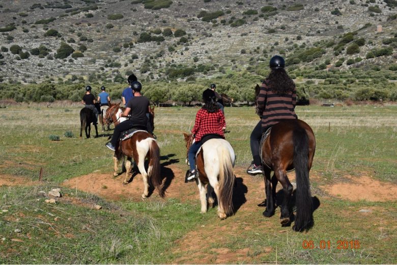 horse riding experience - east crete