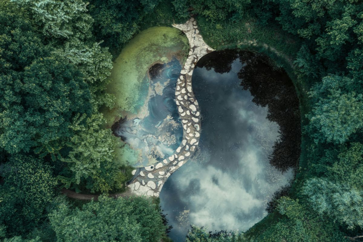 Aerial view of a yin og yang symbol-shaped pond surrounded by forest.