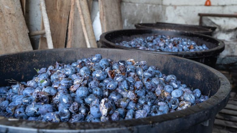 raki making_grapes