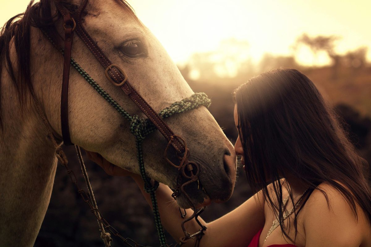 Woman gently connecting with a horse at golden hour, symbolizing intuition and empathic sensitivity during a Divine Feminine awakening.