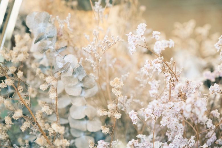 A soft-focus image of delicate dried flowers in muted tones.