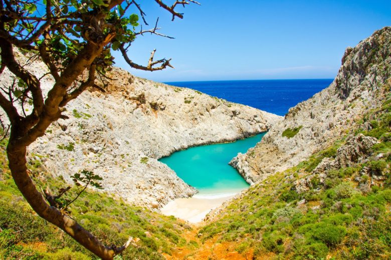A secluded cove with turquoise waters surrounded by rugged cliffs, viewed through the branches of a tree.