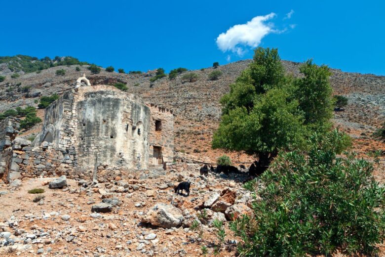 An old, weathered stone church stands amid a rocky landscape with sparse vegetation, under a clear blue sky. A few goats graze near a large tree beside the church.