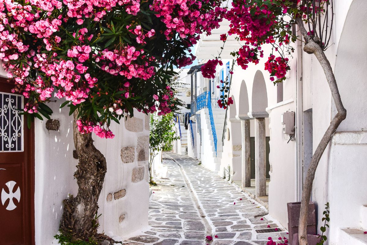 A picturesque narrow alley on Paros Island, Greece, with whitewashed walls, vibrant pink bougainvillea, and traditional blue accents.