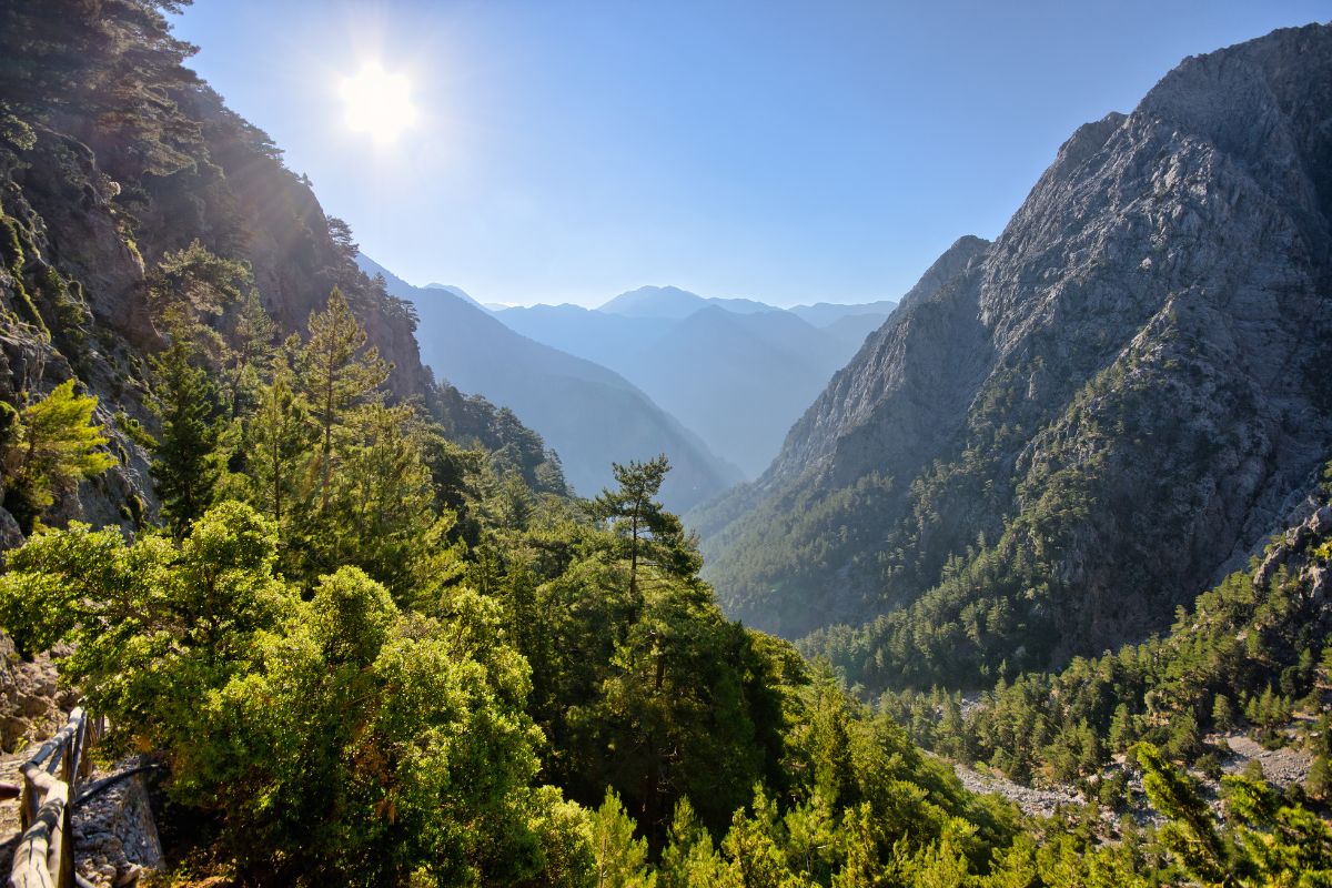 View of Samaria Gorge in Crete with mountain peaks, forested slopes, and sunlight in the background.