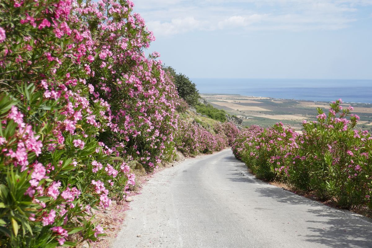 getting to imbros gorge in Crete