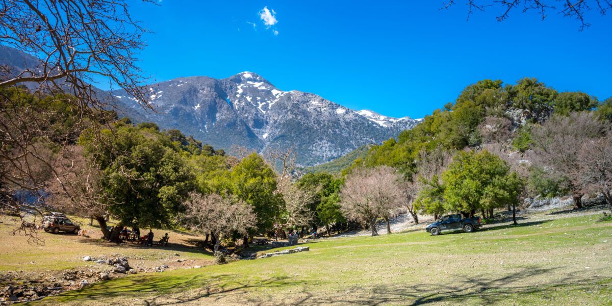 Mount Ida Crete (Psiloritis) mountain landscape with green meadow and trees under a clear blue sky.