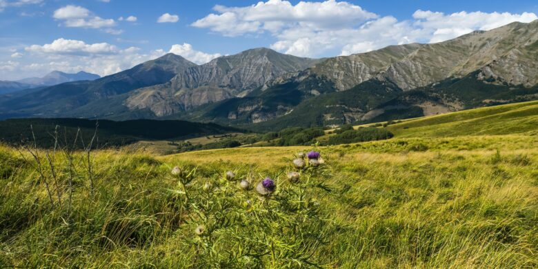 Panoramic landscape of Psiloritis Crete (Mount Ida) with mountain ridges and alpine meadows, a popular area for hiking adventures.