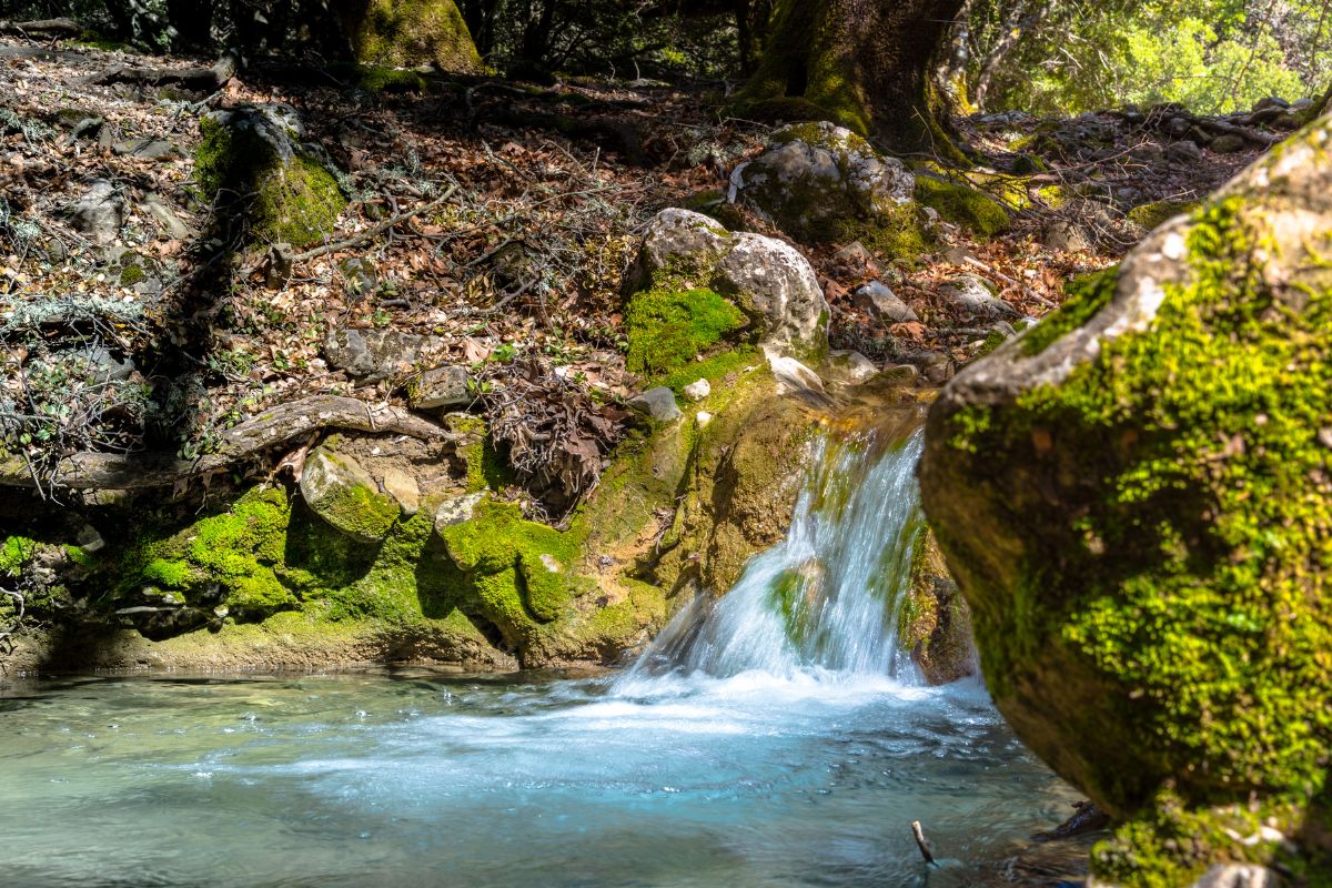 Small waterfall in Rouvas Forest near Mount Ida Crete (Psiloritis) with mossy rocks and clear water.