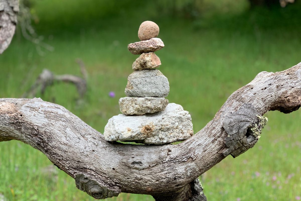 Balanced stack of stones on a tree branch, symbolizing divine feminine and masculine balance in everyday life.