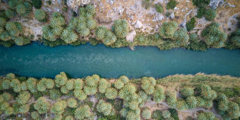 Preveli Beach Crete with a freshwater river lagoon and the native palm forest.