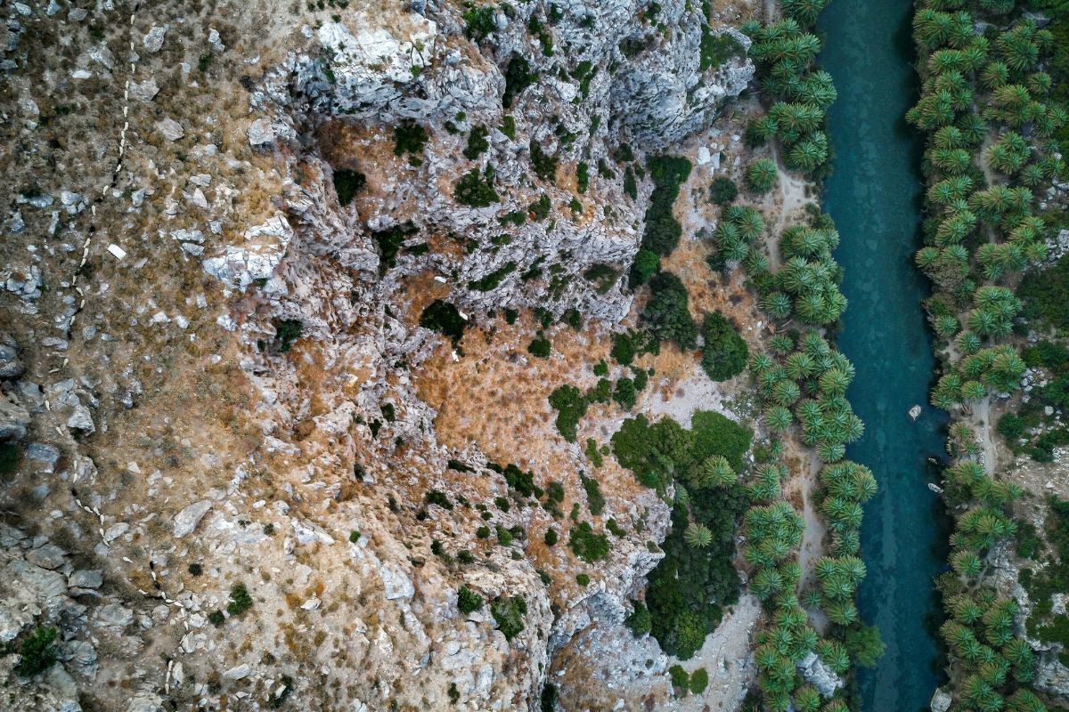 Path inside the native palm forest beach Crete reserve at Preveli.