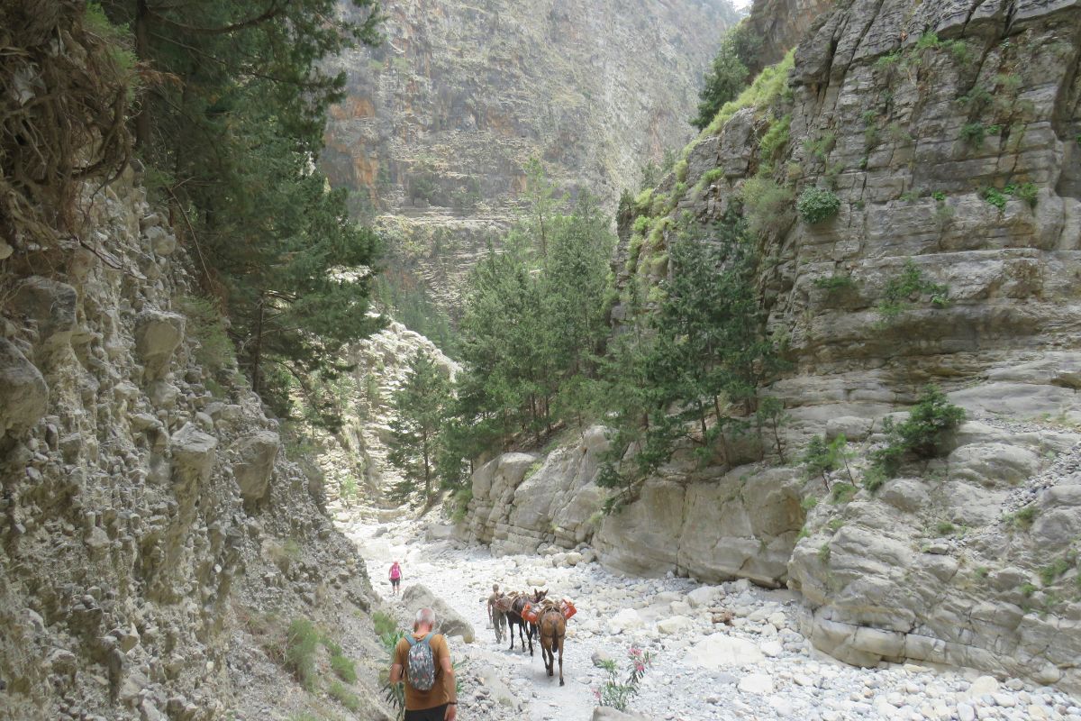 Samaria Gorge in Crete with hikers walking through the rocky canyon in early summer.