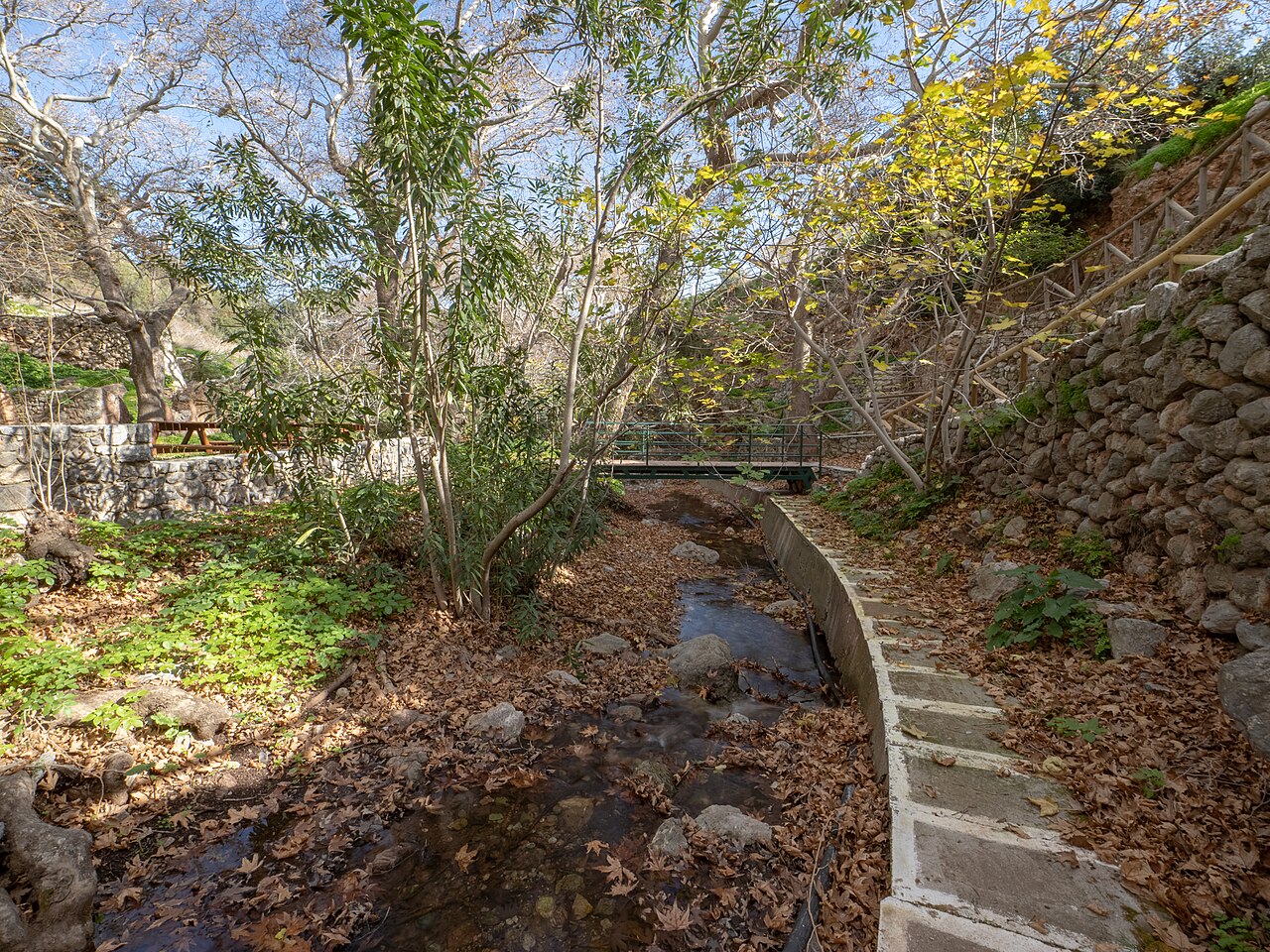 Lush vegetation surrounding the natural freshwater springs of Zakros Gorge in eastern Crete, Greece