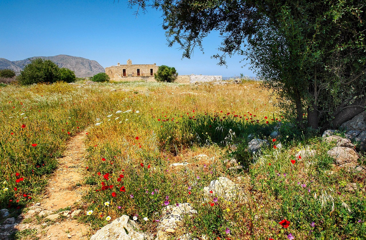 crete meadow