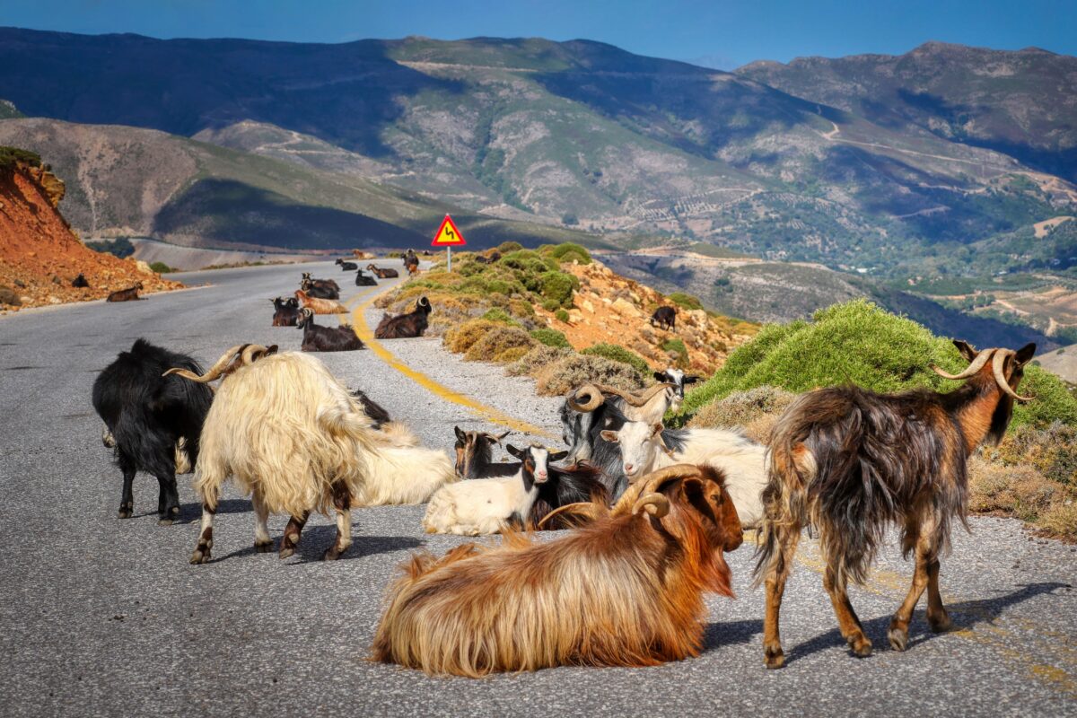 crete