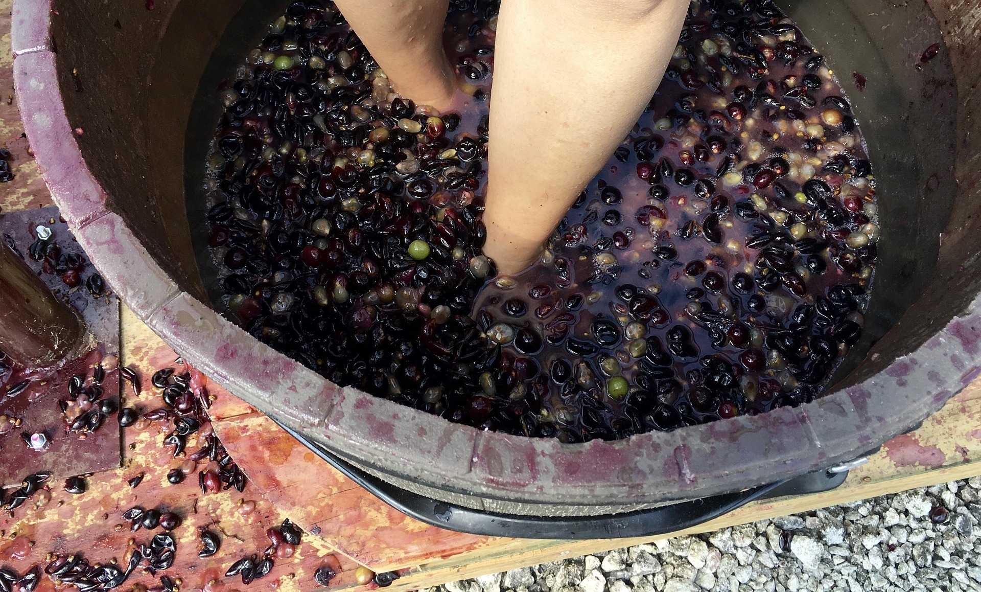 grape stomping in crete experience