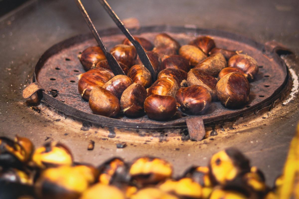 Chestnuts roasting on a hot metal pan with tongs.